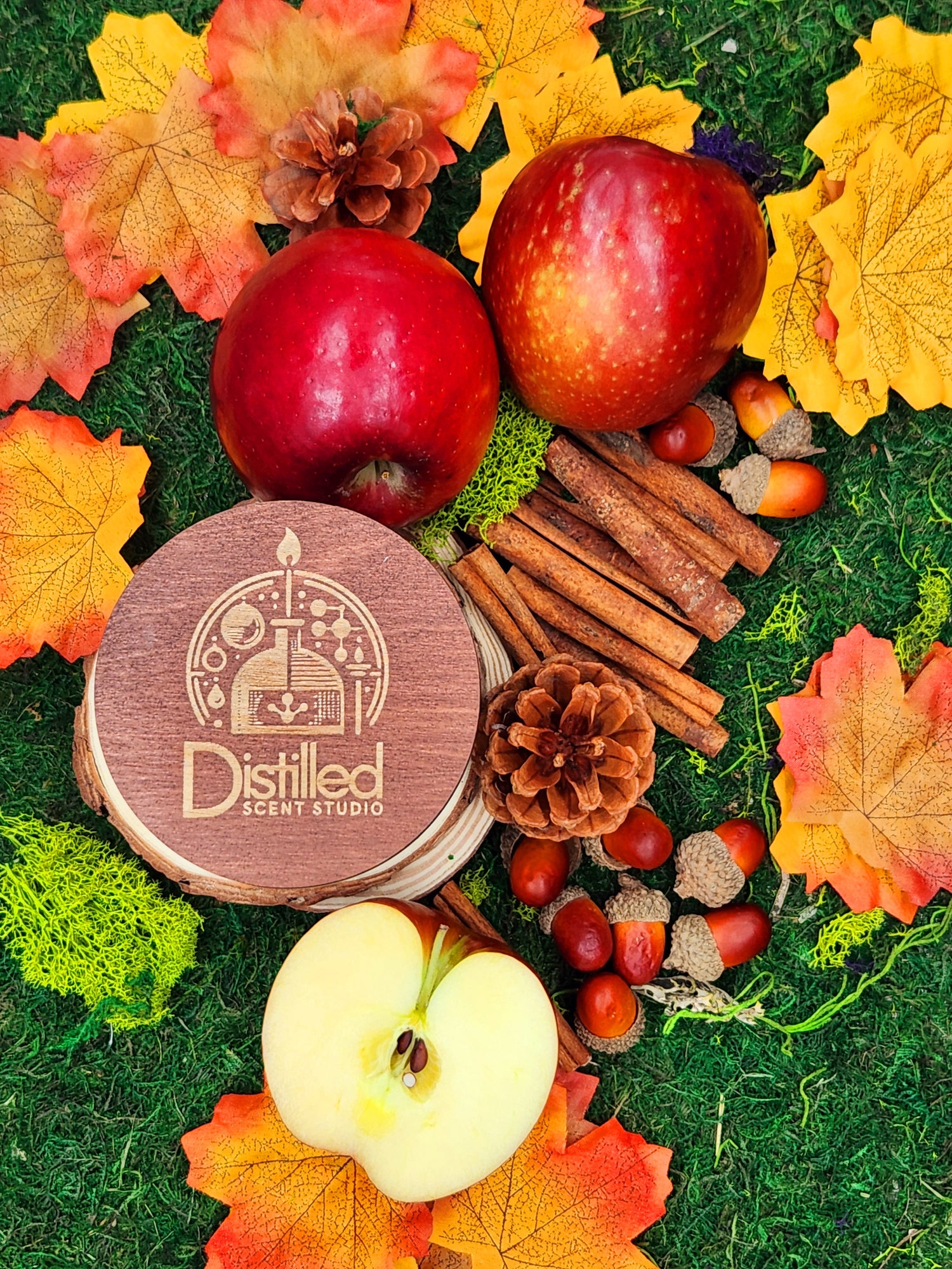 Limited Edition - Cinnamon Apples, Autumn Leaves, & Acorns - 13 oz Candle